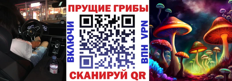 Псилоцибиновые грибы ЛСД  мега tor  сайты даркнета состав  Чадан 